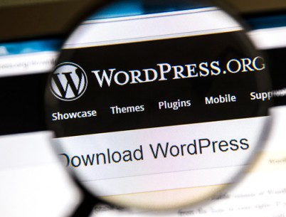 wordpress-development