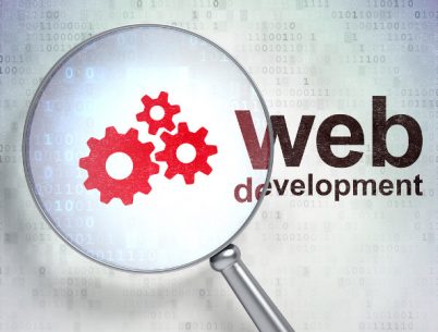 Micro-Web-Development